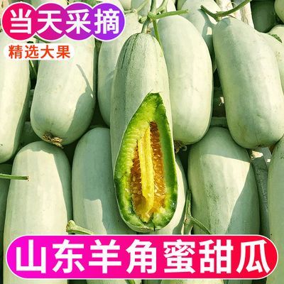 【爆甜】羊角蜜甜瓜山东新鲜薄皮蜜瓜水果蜜瓜整箱脆甜当季