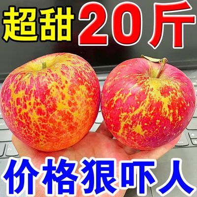 脆甜】正宗冰糖心大凉山丑苹果脆新鲜水果红富士应季孕妇包邮批发