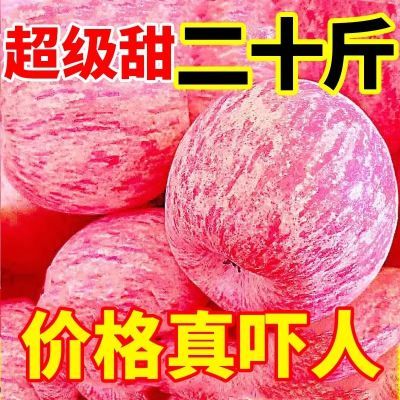 【超便宜】陕西洛川红富士新鲜苹果冰糖心脆甜苹果水果批发一整箱