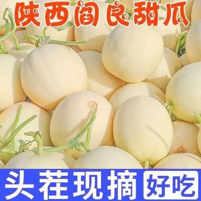 陕西阎良甜瓜头茬新鲜孕妇水果应季哈密瓜羊角蜜香瓜脆甜现摘批发【15天内发货】