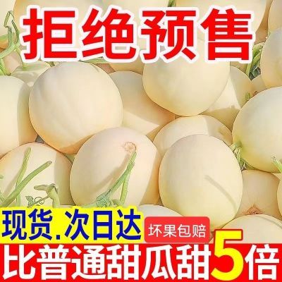 陕西阎良甜瓜头茬新鲜孕妇水果应季哈密瓜羊角蜜香瓜脆甜现摘批发