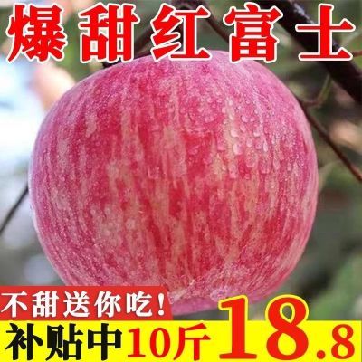 2024新果】山西红富士苹果当季新鲜冰糖心苹果脆甜一整箱水果批发