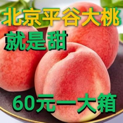 正宗现货当季北京平谷大桃新鲜水蜜桃毛桃大久保桃14号桃绿化九桃