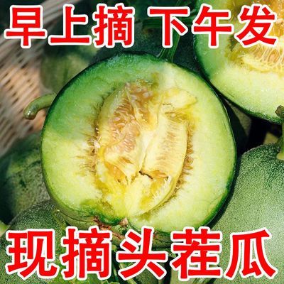 现摘现发应季水果当季绿宝石甜瓜批发香甜脆超甜绿宝甜瓜5斤包邮