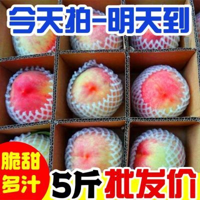 水蜜桃新鲜水果5斤包邮孕妇宝宝时令现摘桃子脆毛3斤