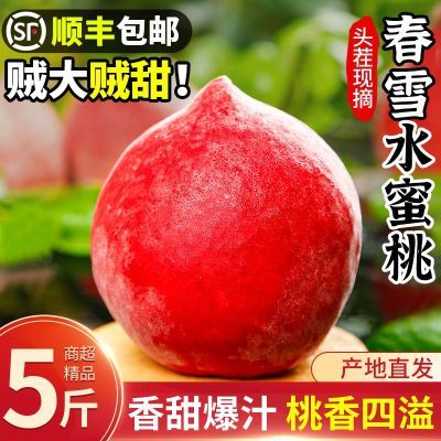 【顺丰包邮】现摘大果春雪水蜜桃5斤桃子脆甜桃孕妇当季应季整箱