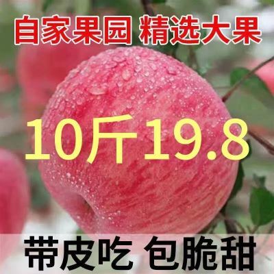 【脆甜冰糖心】苹果新鲜红富士大果爆甜应季丑苹果水果整箱批发