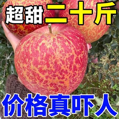 【爆甜】四川大凉山冰糖心丑苹果红富士孕妇脆甜新鲜水果整箱批发