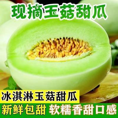 玉菇甜瓜现摘南汇玉菇甜瓜山东玉姑蜜瓜香瓜脆瓜应季水果10斤包邮