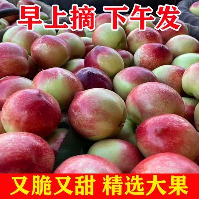 油桃新鲜水果现摘脆甜桃子应季孕妇5斤大果黄白心油桃