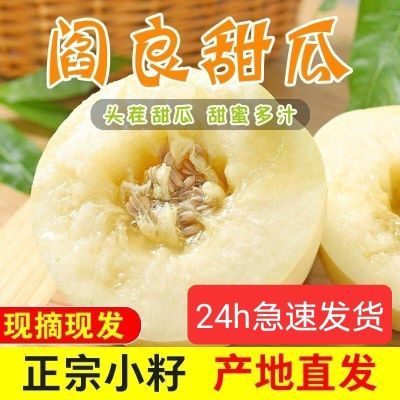 正宗阎良甜瓜头茬新鲜水果脆瓜香瓜蜜瓜甜香应季水果整箱批发包邮