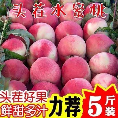 水蜜桃桃子毛桃新鲜水果3/5/10斤包邮应季孕妇宝宝水果脆毛桃现摘