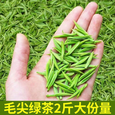 新茶叶正宗毛尖绿茶特级绿茶浓香型毛尖云雾绿茶散装厂家直销批发【5月14日发完】