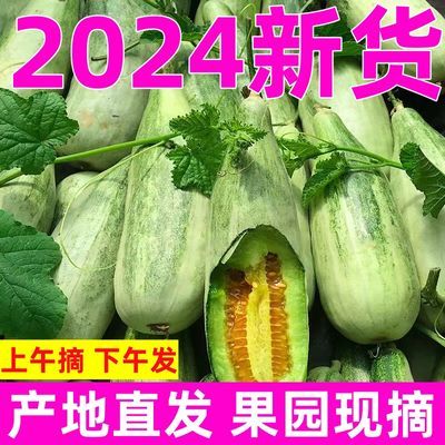 【活动中】山东头茬羊角蜜甜瓜现摘香瓜新鲜应季水果脆甜整箱包邮