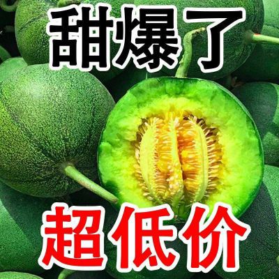 【现摘现发】正宗绿宝甜瓜新鲜当季水果绿心薄皮脆瓜整箱5斤包邮