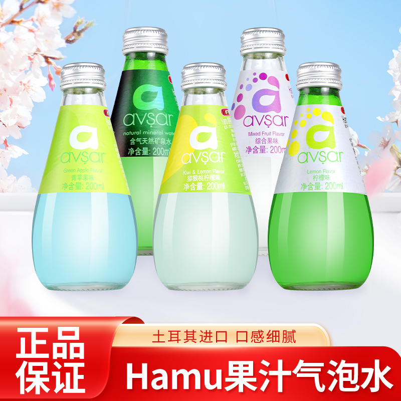 6口味土耳其进口Hamu矿泉气泡水avsar汽水高颜值饮料200ml*24瓶装