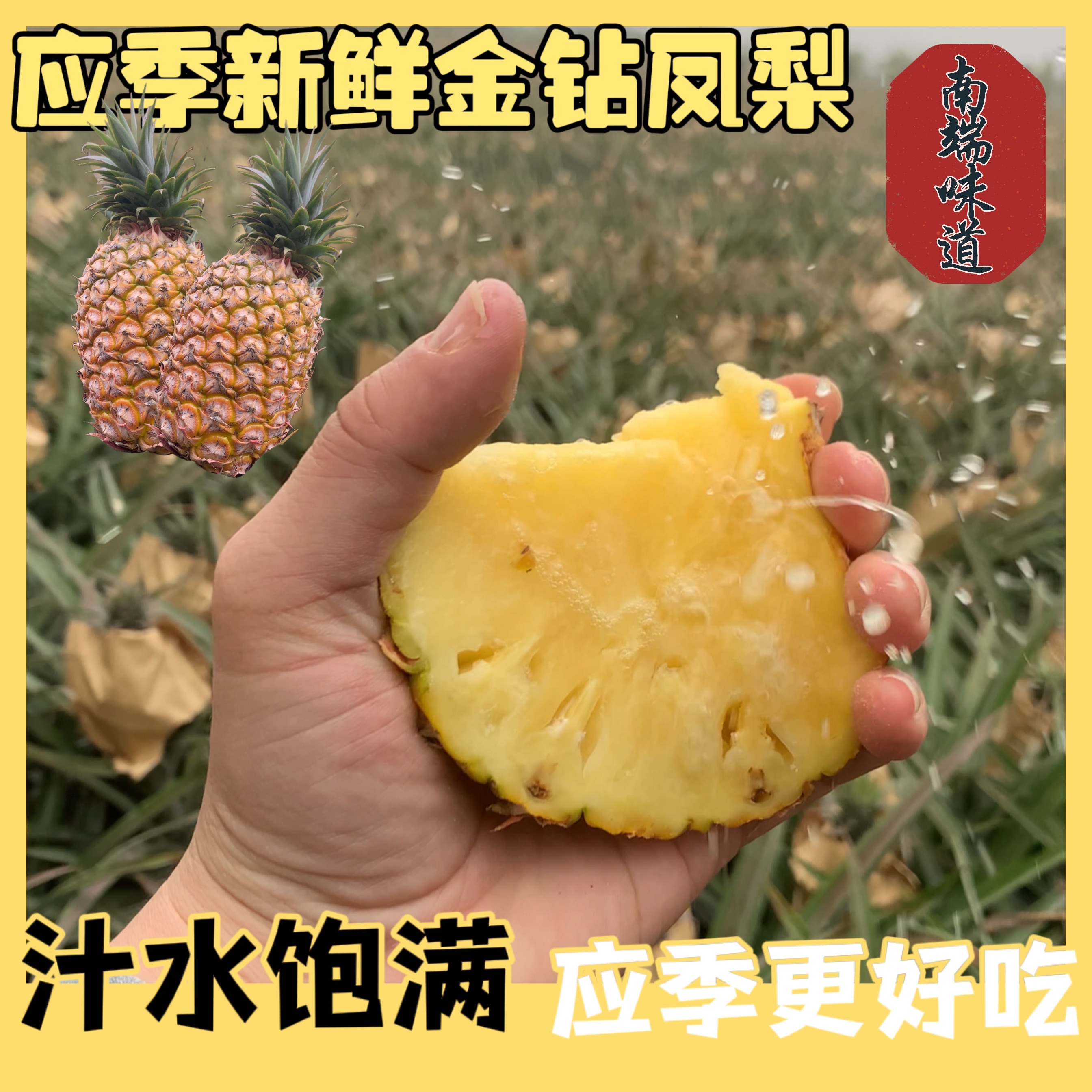 【徐闻金钻凤梨】无眼小凤梨香水菠萝爆甜产地发应季新鲜水果超甜