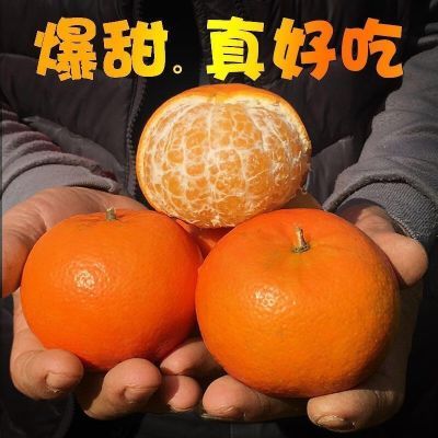 【无籽沃柑】橙上良品 正宗云南无籽沃柑5/9斤新鲜橘子桔子礼盒