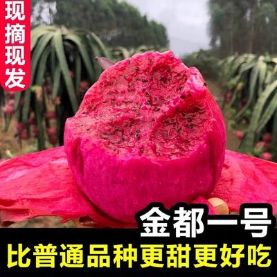 精选金都一号红心火龙果5斤整箱大果新鲜当季红肉密宝水果包邮10