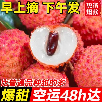 【发货快】妃子笑荔枝新鲜现摘水果海南非桂味白糖罂整箱批发超甜