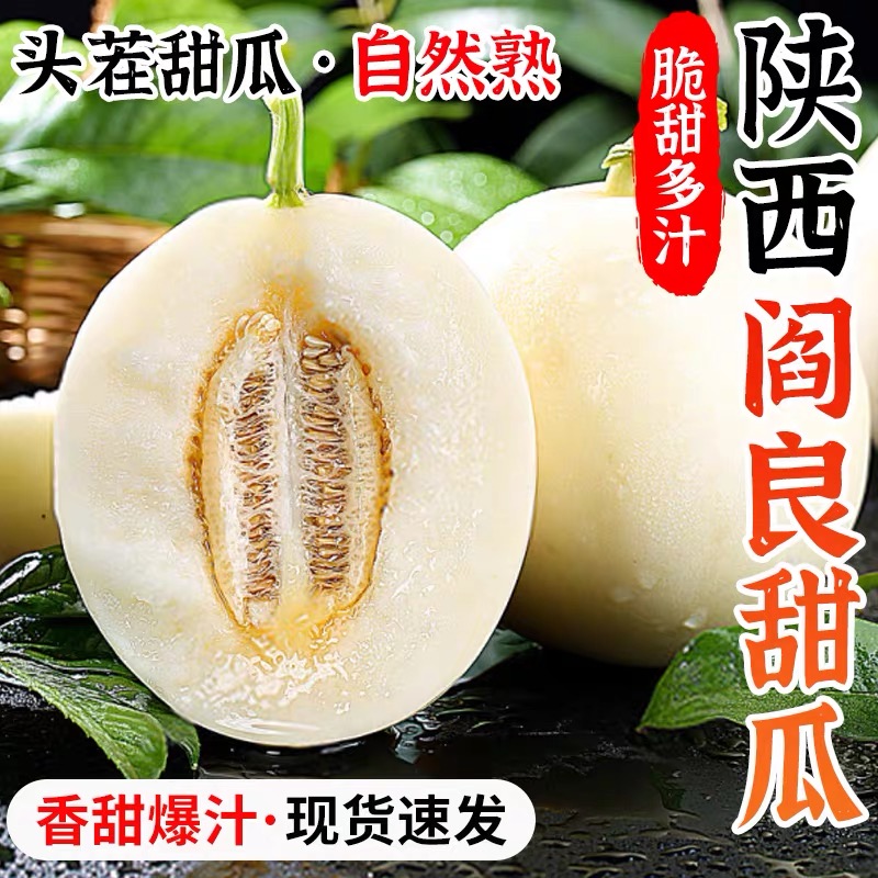 头茬陕西阎良甜瓜新鲜香瓜高甜度水果新鲜当季整箱10白甜瓜斤蜜瓜